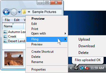 Fling file transfer Plus v2.35 Cracked By Max